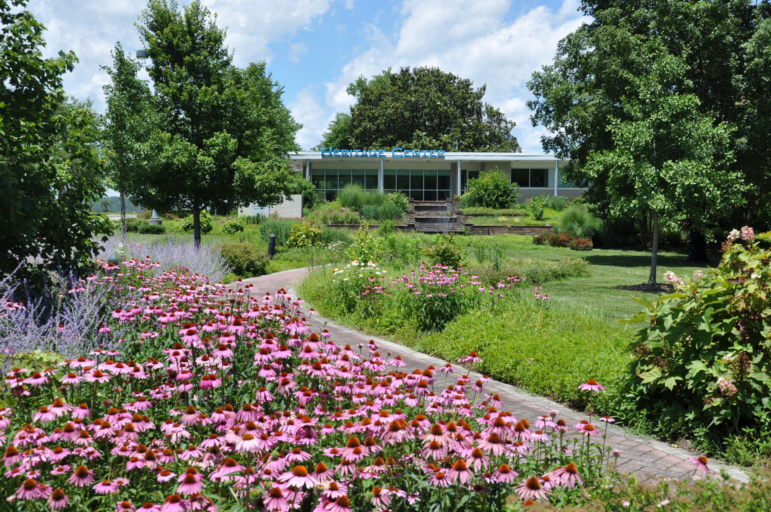 Photo: Horizon Center with flowers in bloom