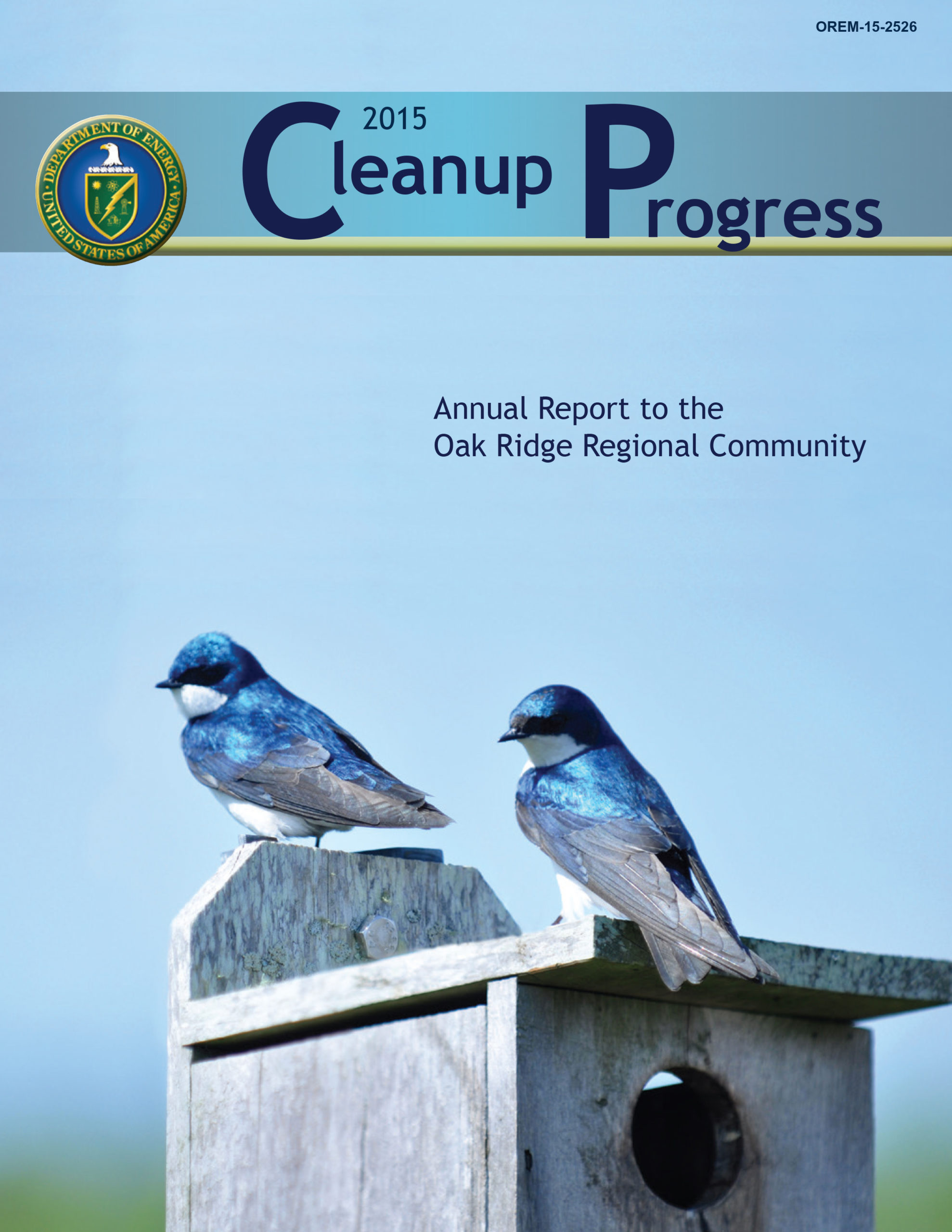 2015 Cleanup Progress cover