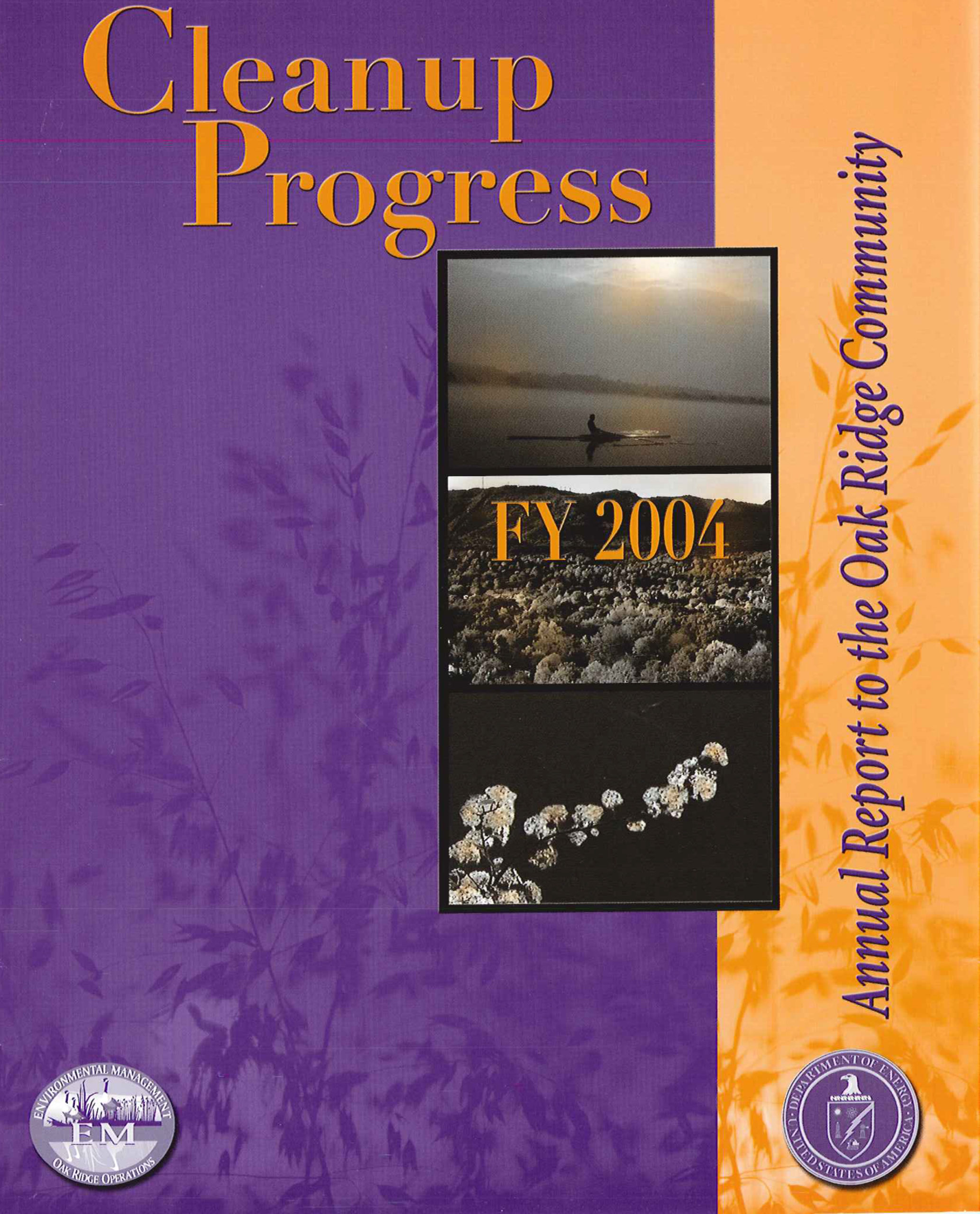 2004 Cleanup Progress cover