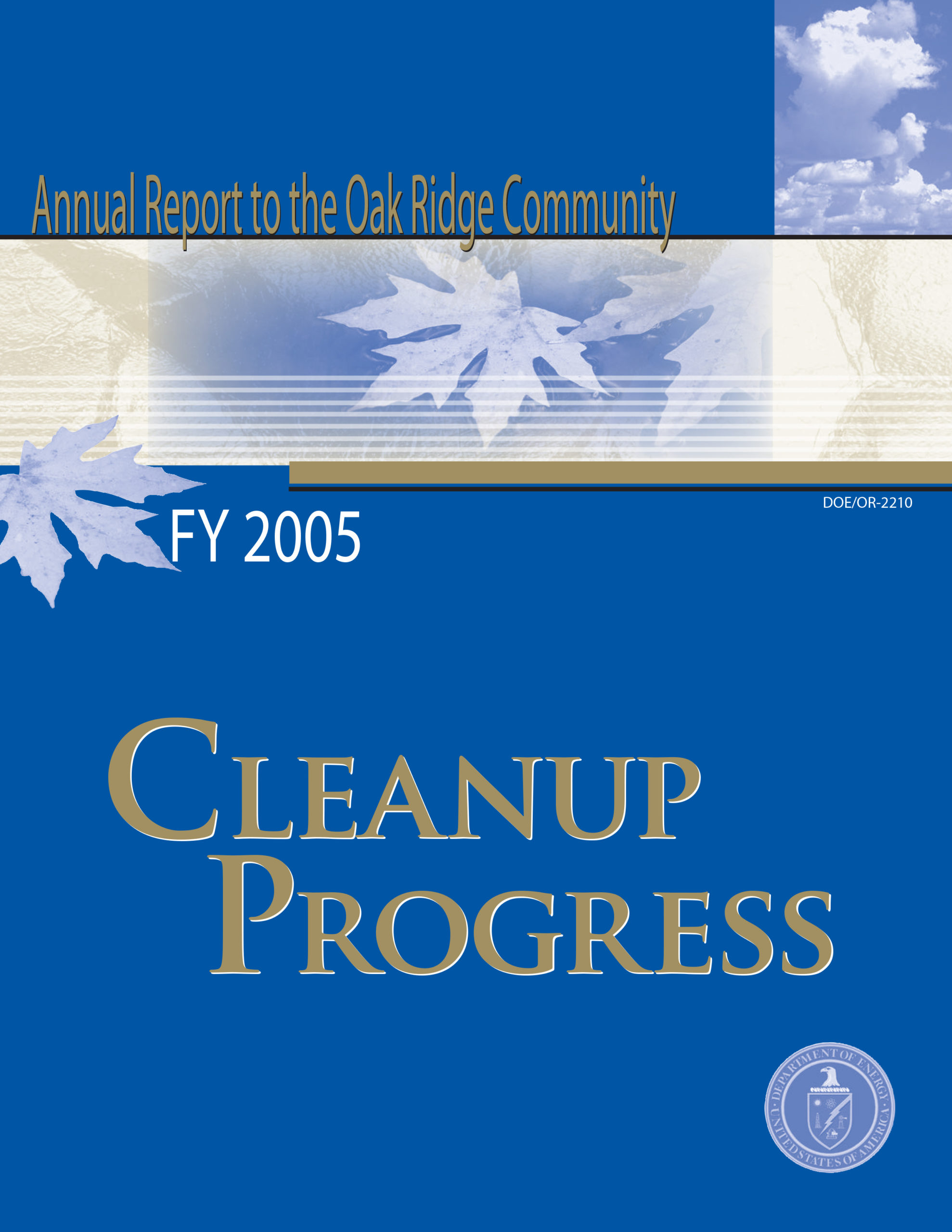 2005 Cleanup Progress cover