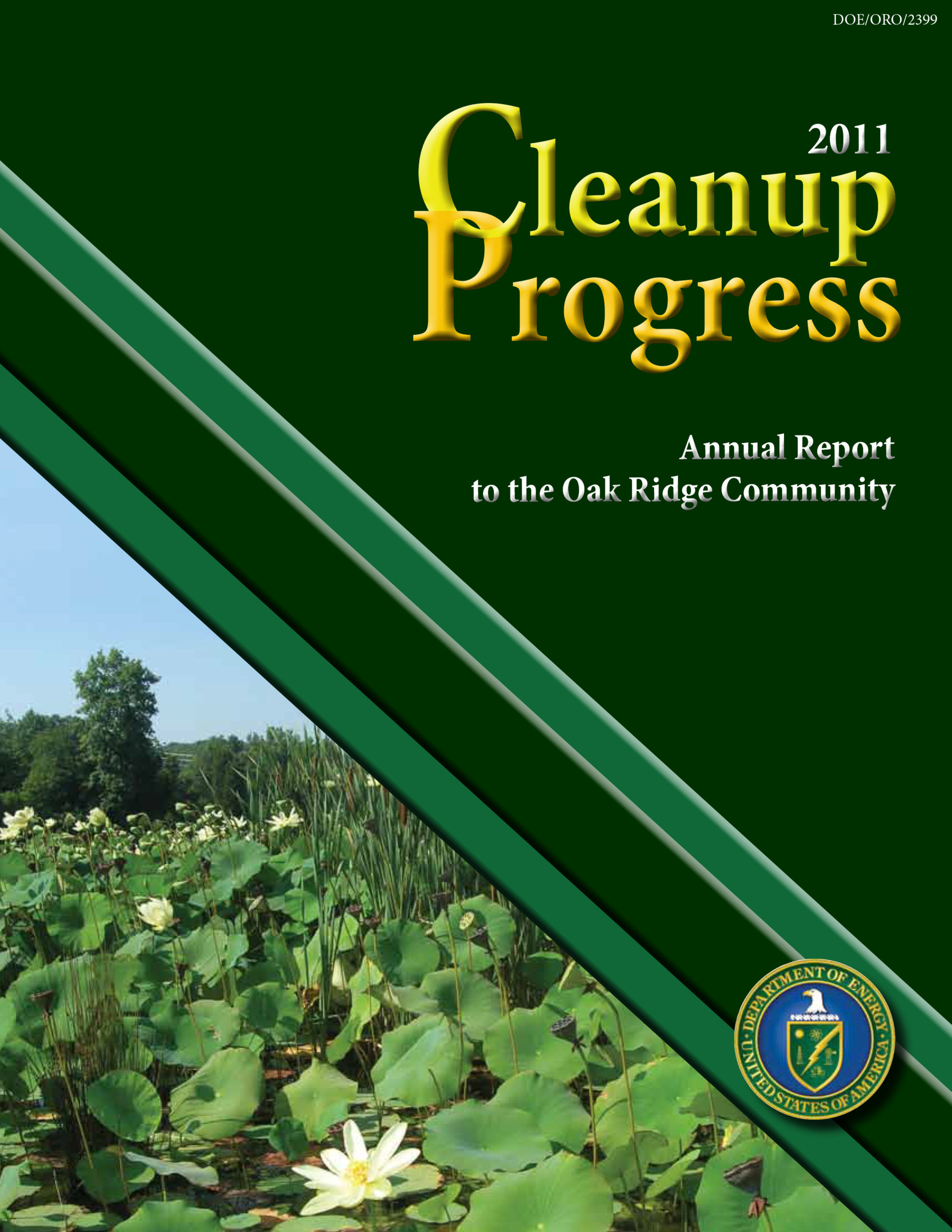 2011 Cleanup Progress cover