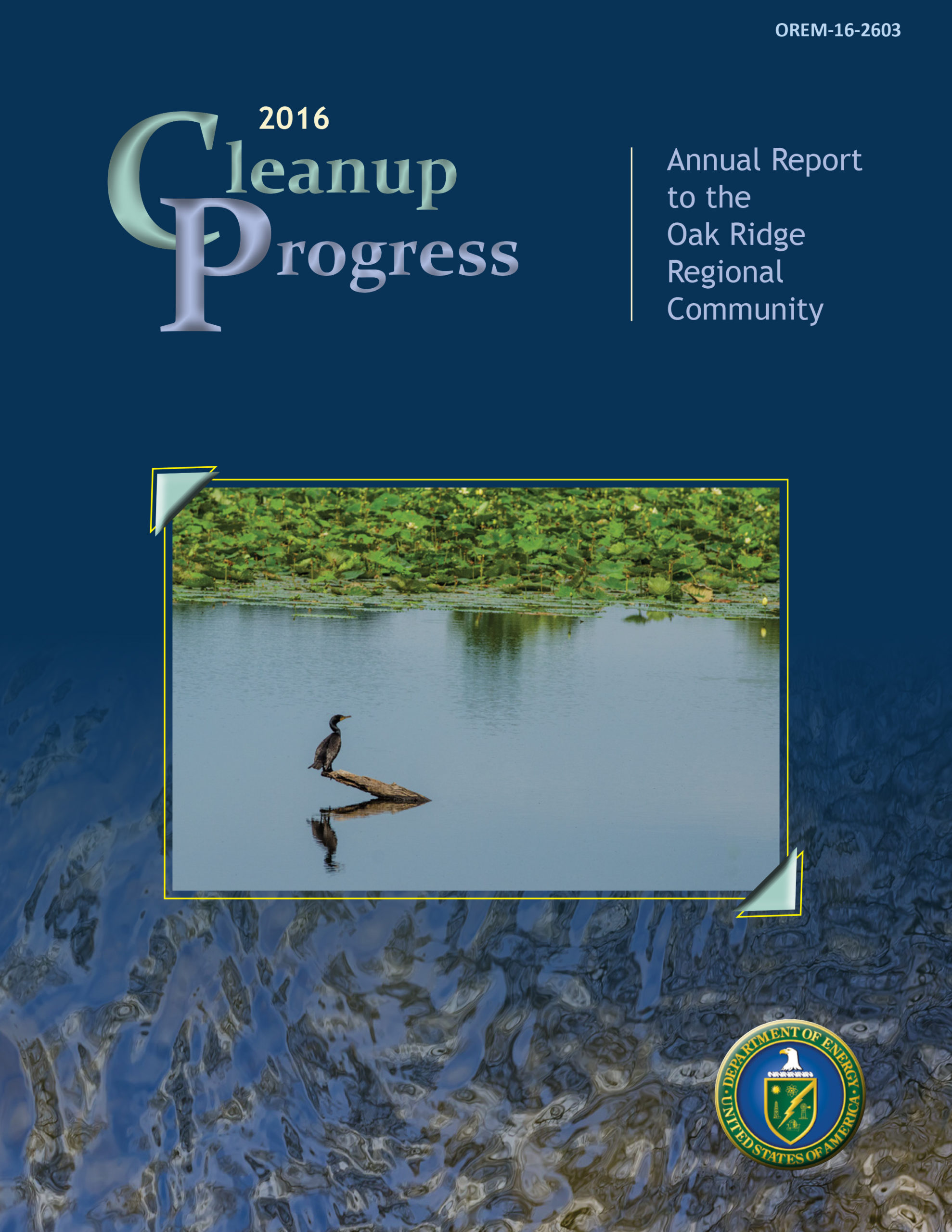 2016 Cleanup Progress cover