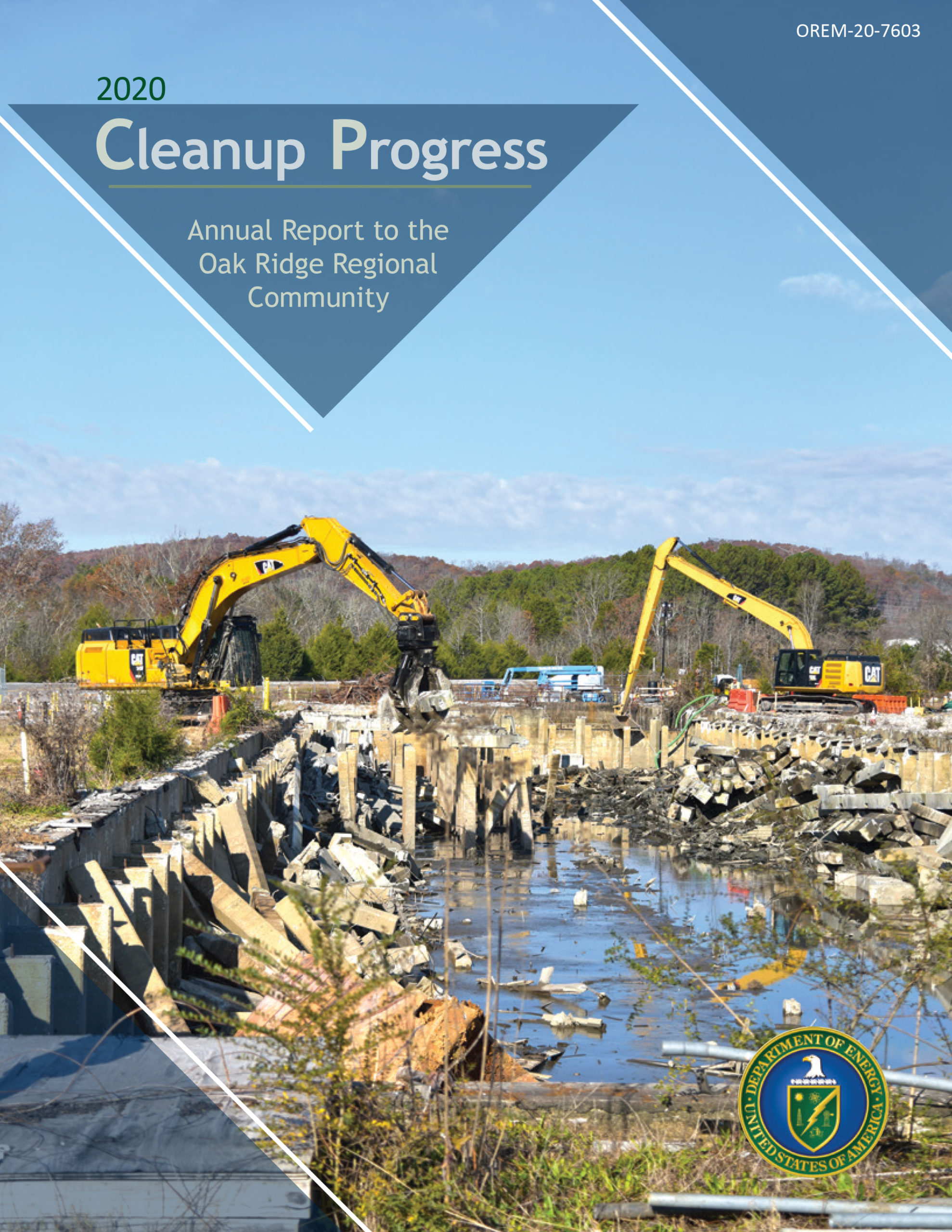2020 Cleanup Progress cover