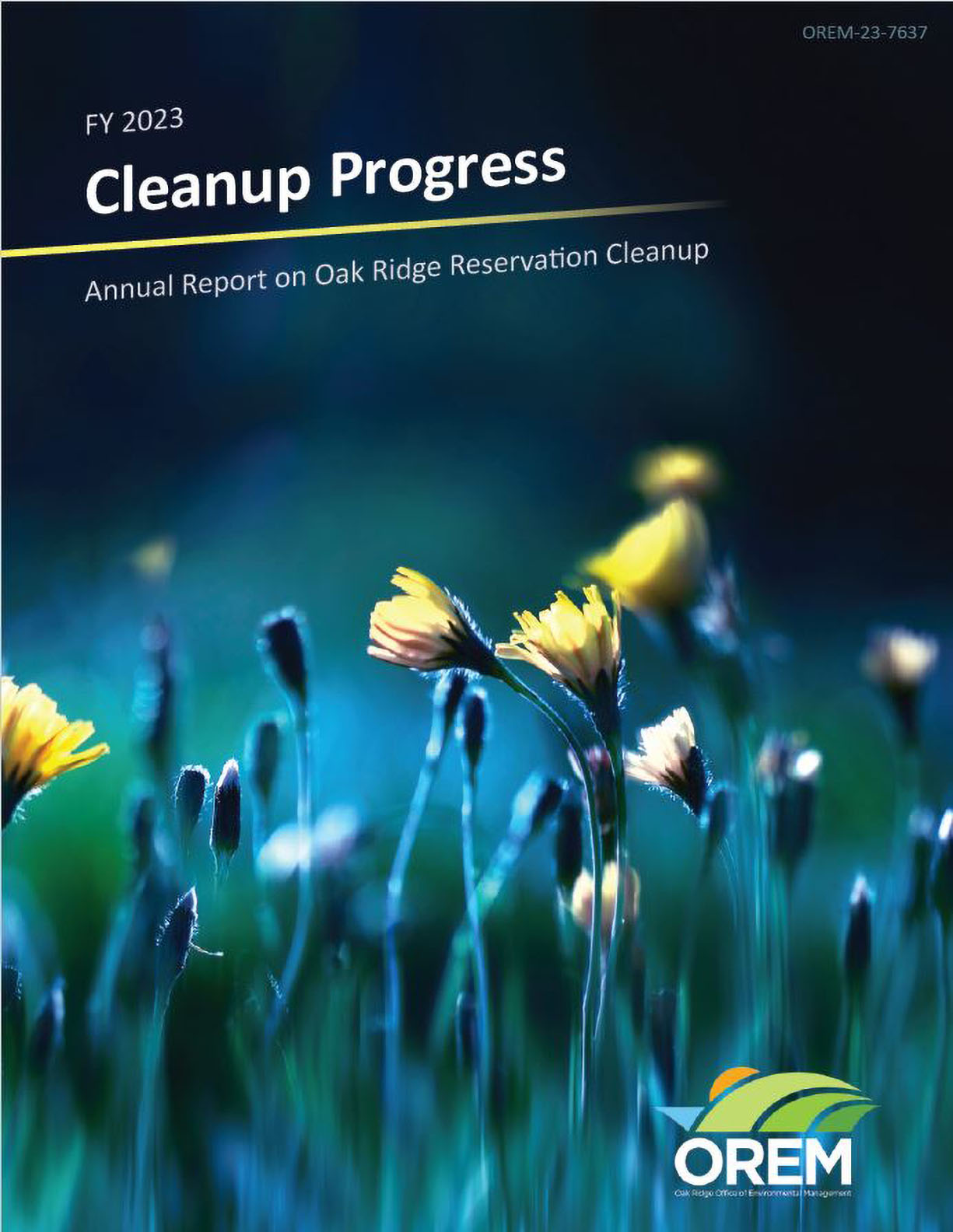 Cover of 2023 Cleanup Progress