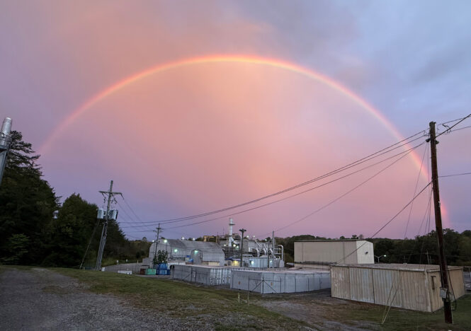 TWPC rainbow twpc rainbow